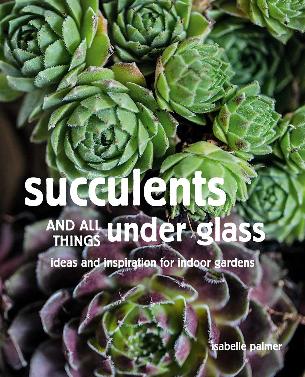 Book - Succulents and All things Under Glass