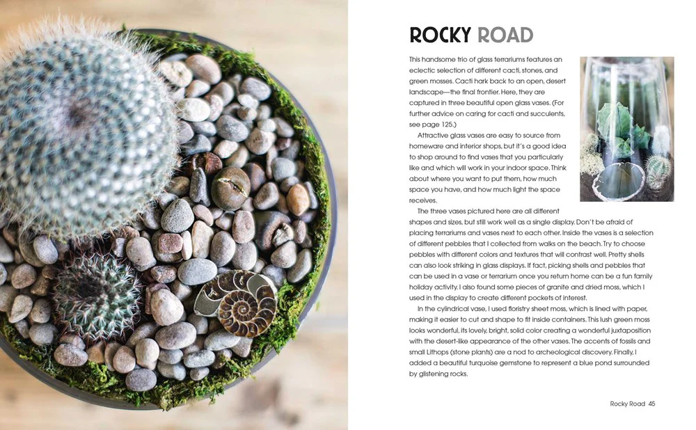 Book - Succulents and All things Under Glass - Image 3