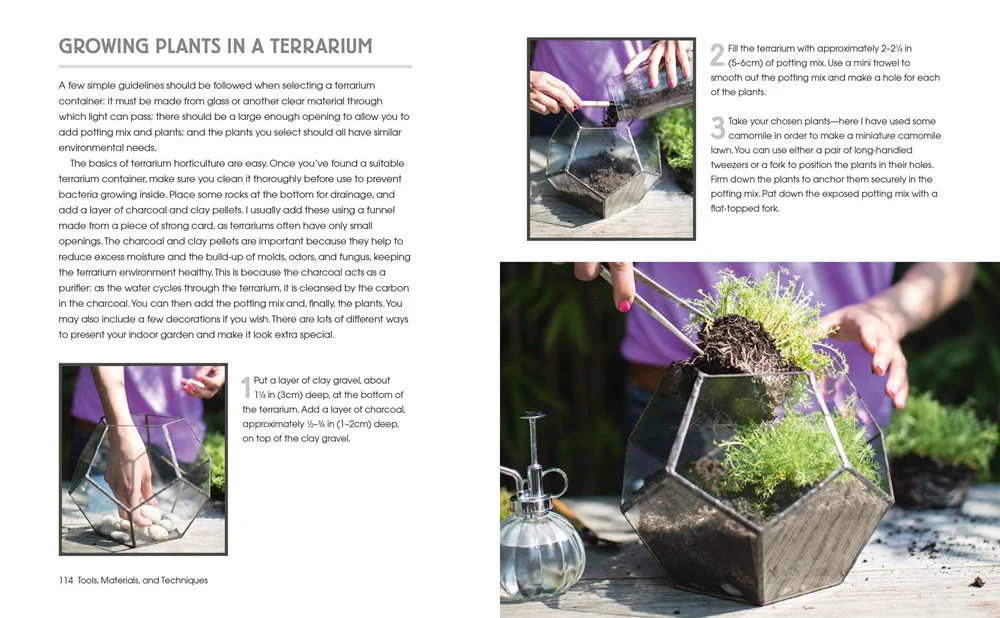 Book - Succulents and All things Under Glass - Image 4