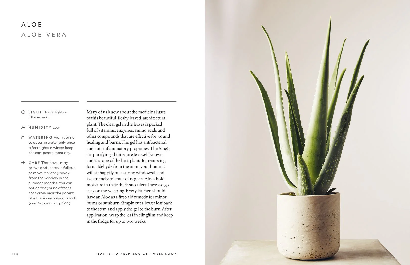 Book - The Healing Power Of Plants - Image 3