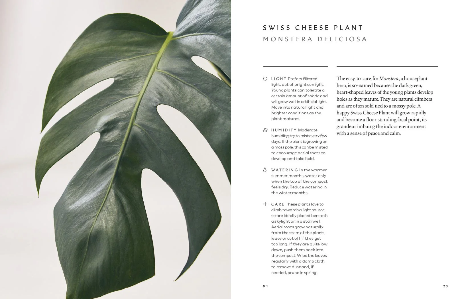 Book - The Healing Power Of Plants - Image 4