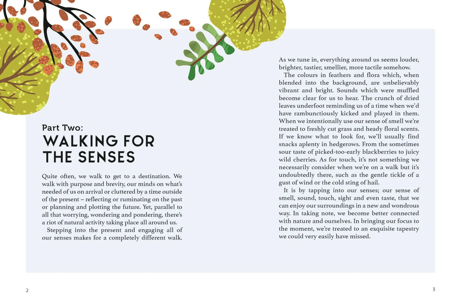 Book - Walking For Mind, Body And Soul - Image 2