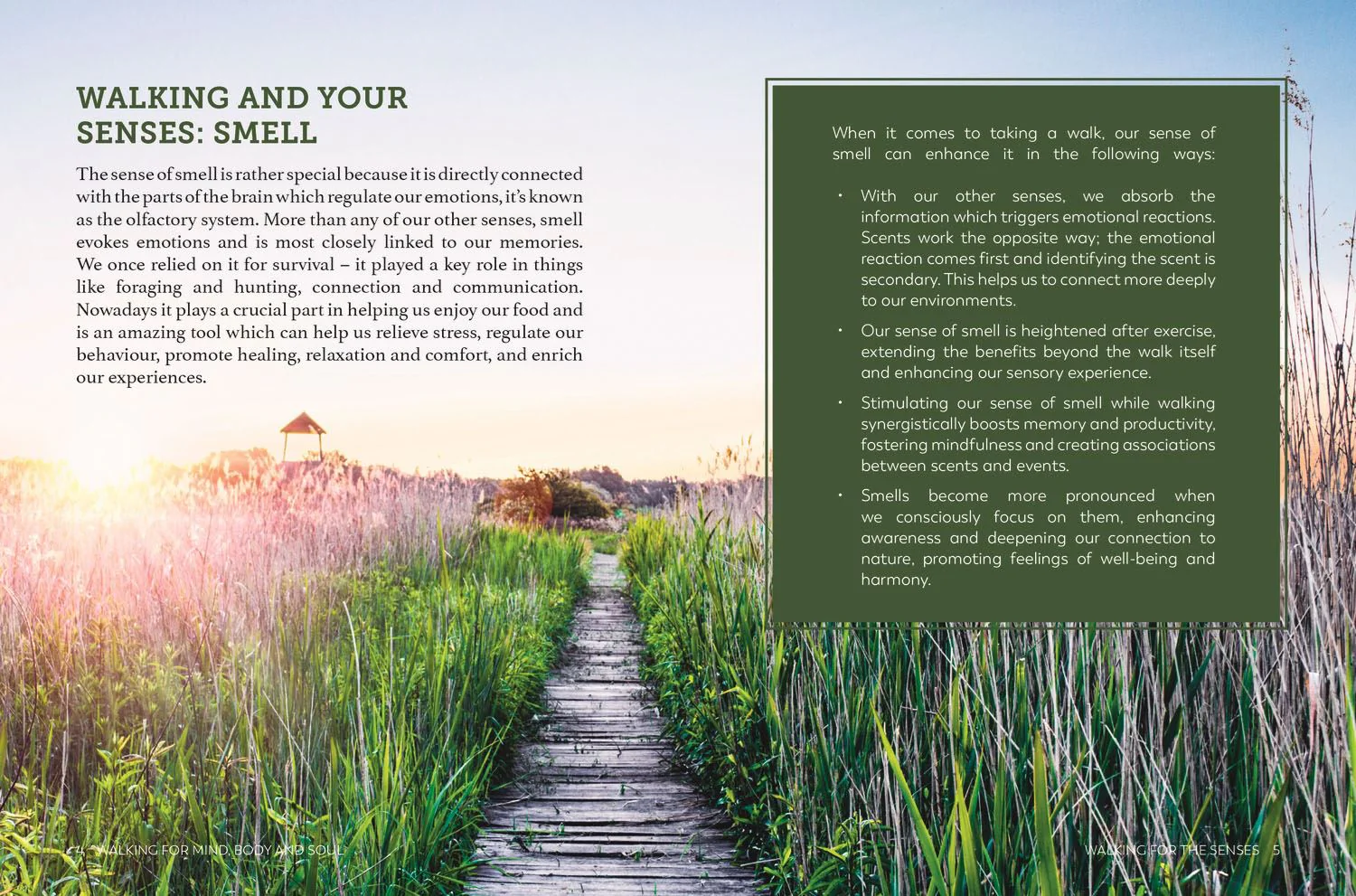 Book - Walking For Mind, Body And Soul - Image 3