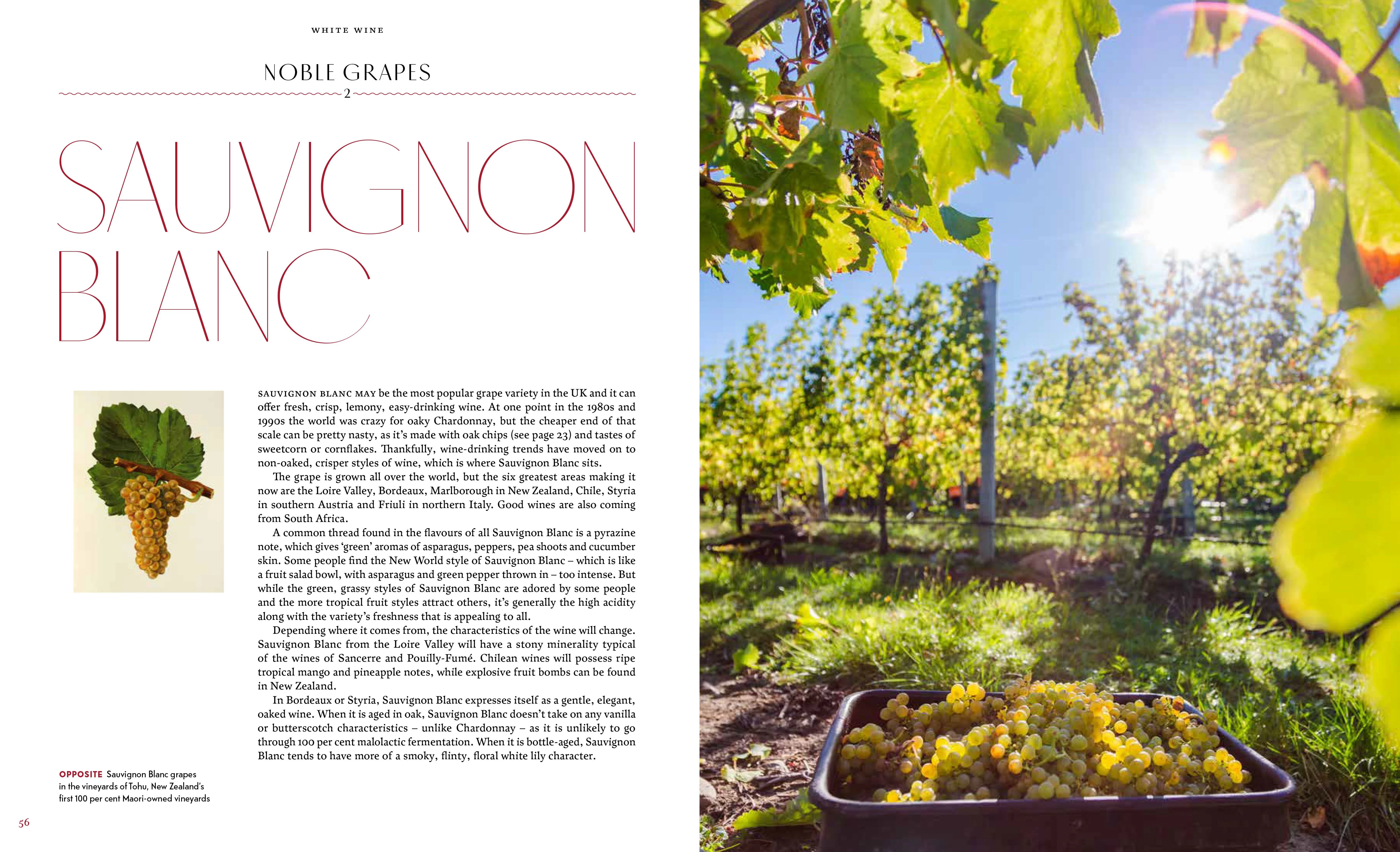 Book - Wine And Food: The Perfect Match - Image 5
