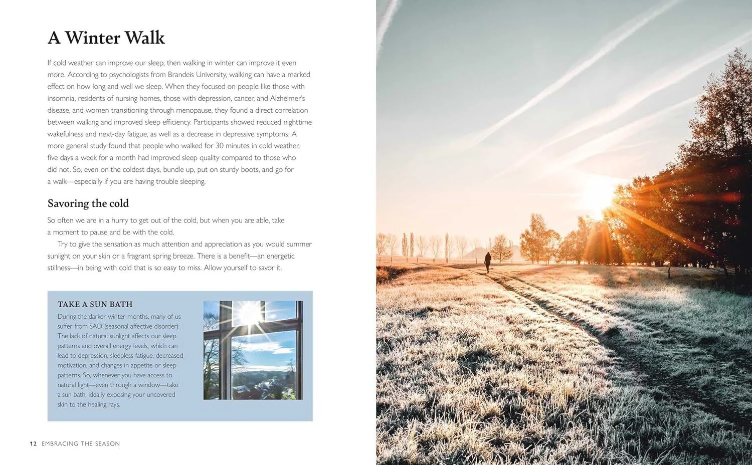 Book - Winter Wellbeing - Image 2