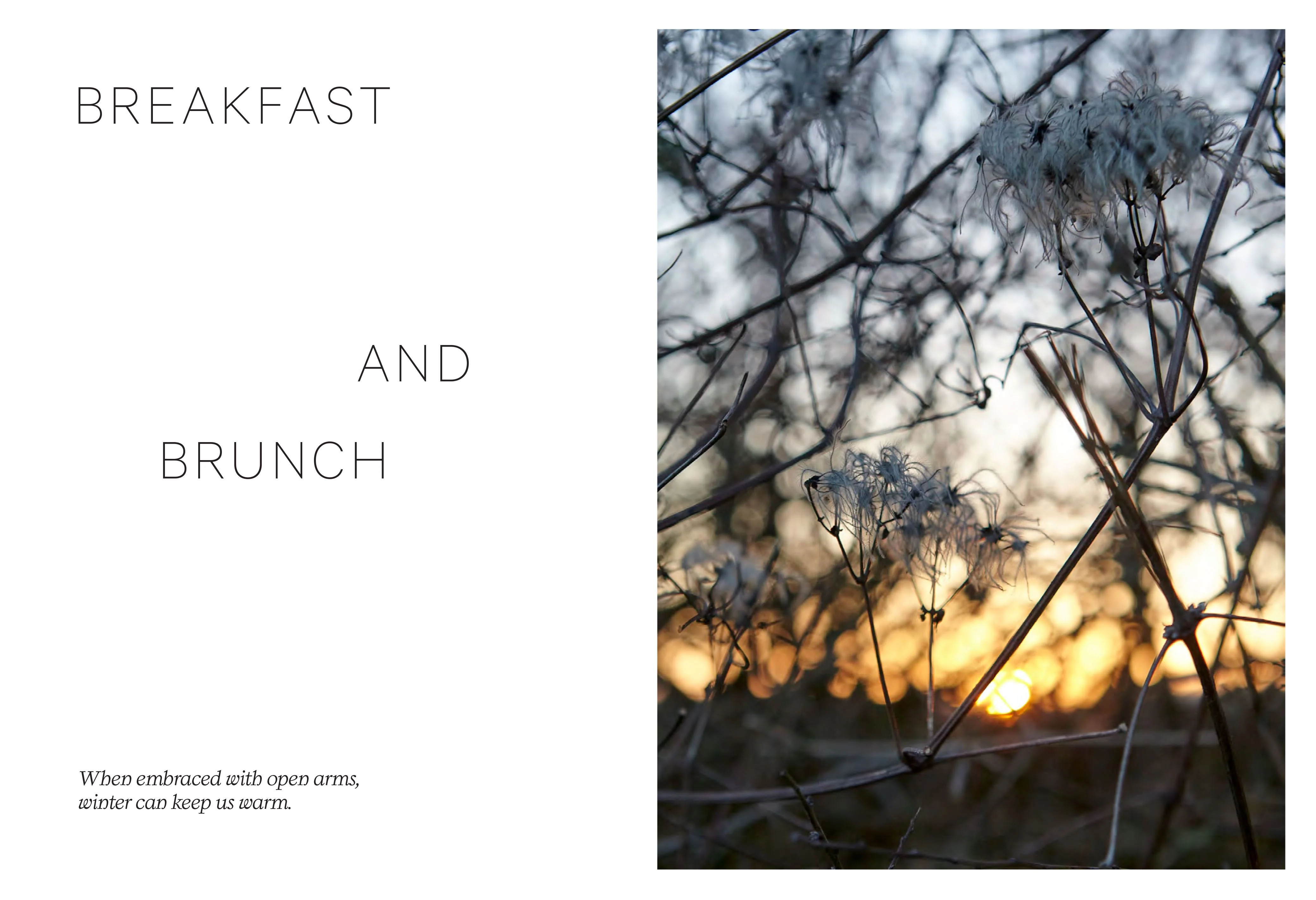 Book - Winter Wellness: Nourishing Recipes To Keep You Healthy - Image 2