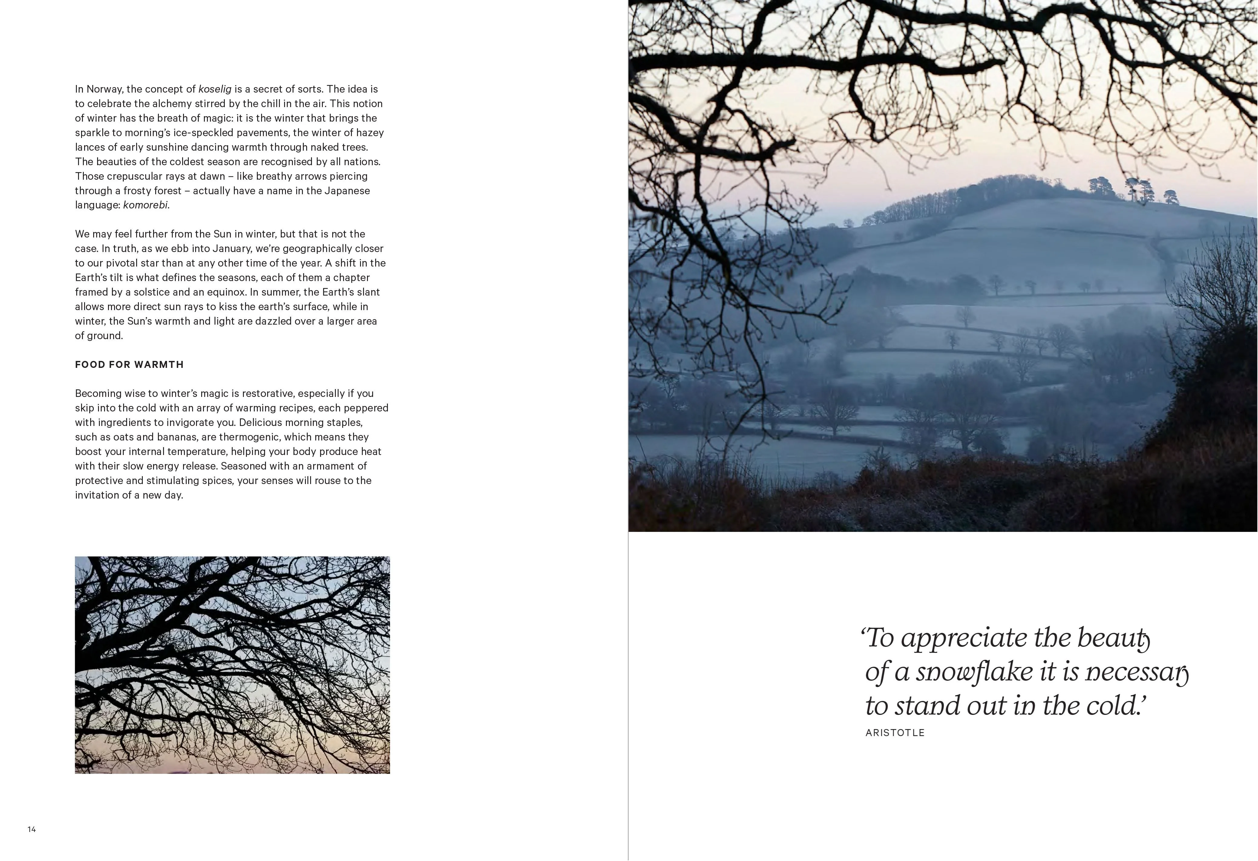 Book - Winter Wellness: Nourishing Recipes To Keep You Healthy - Image 3