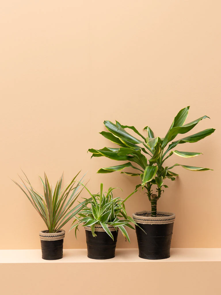 Flower Pots W/Recycled Tires - Set Of 3 - Image 2