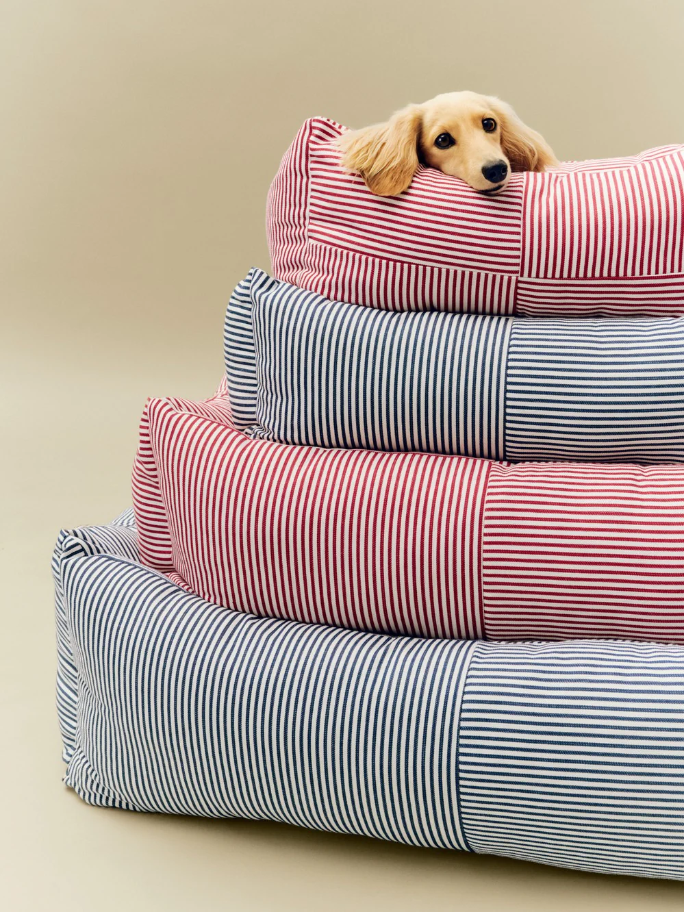 Dog Bed - Small/Zip - Blue & White Stripe - Image 2