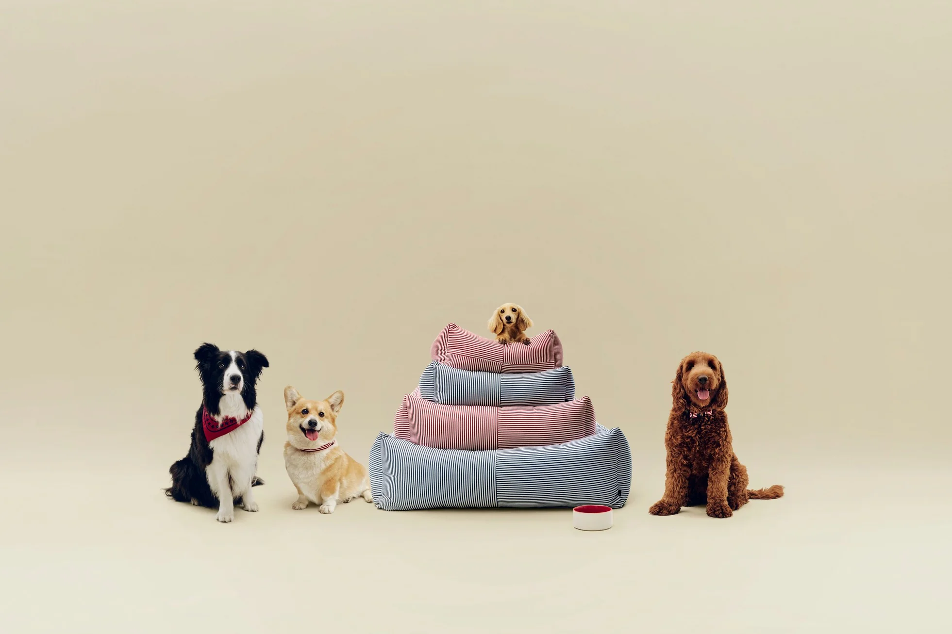 Dog Bed - Small/Zip - Blue & White Stripe - Image 3