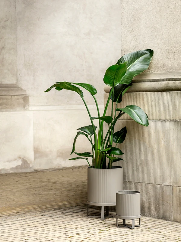 Plant Pot - Steel - Warm Grey - Image 5