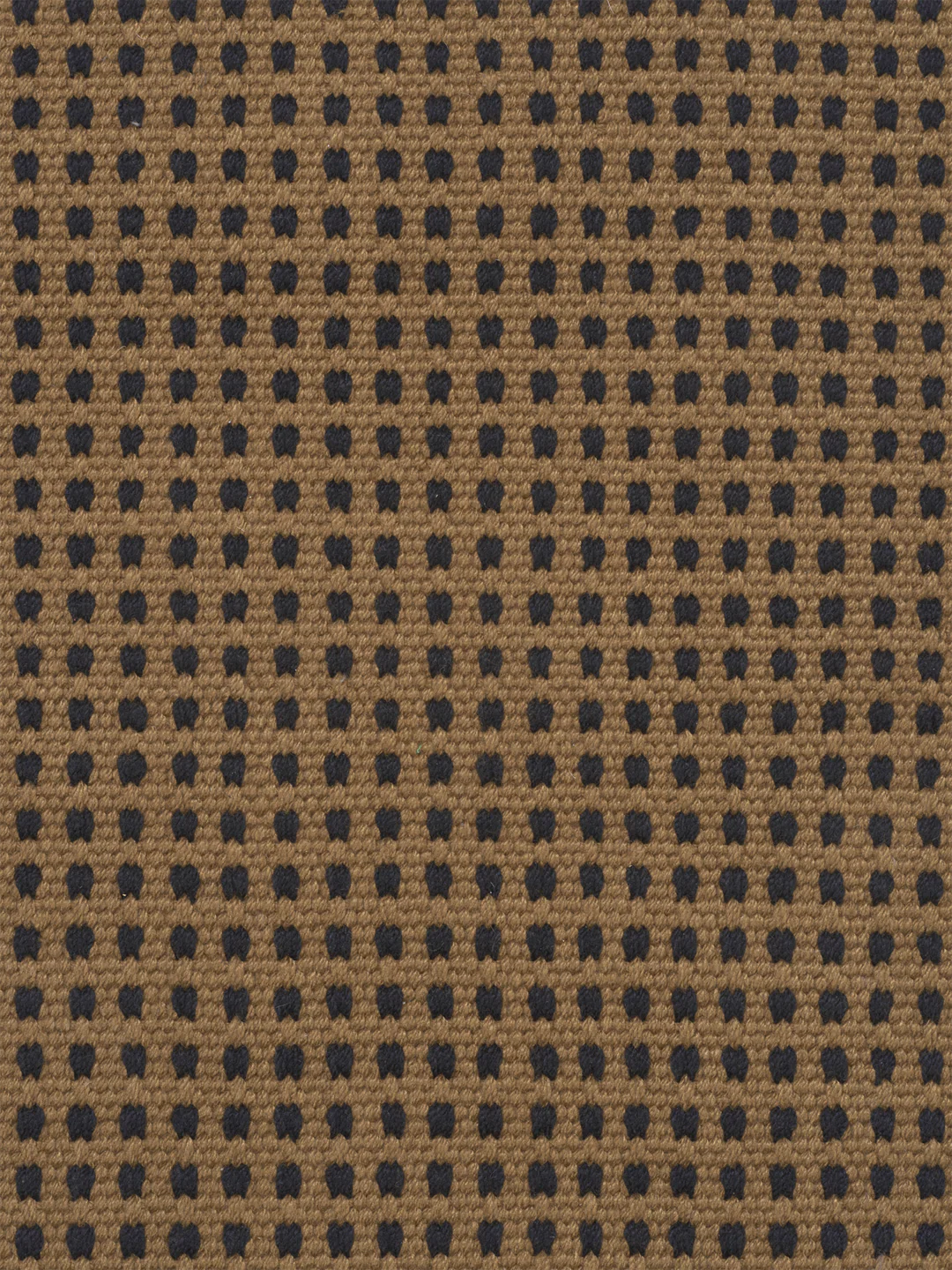 Rug - Way - Handwoven - Sugar Kelp - Image 5