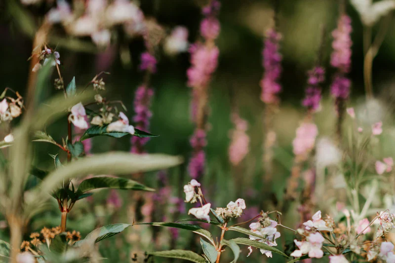 Scented Freshener - Classic - Garden - Image 3