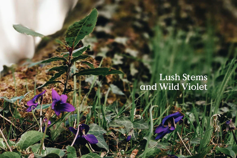 Tin Candle - Folk - Kin - Image 6