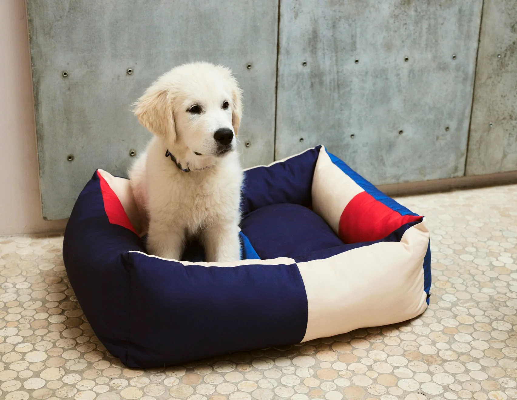 Dog Bed - Medium/Zip - Red & Blue - Image 2
