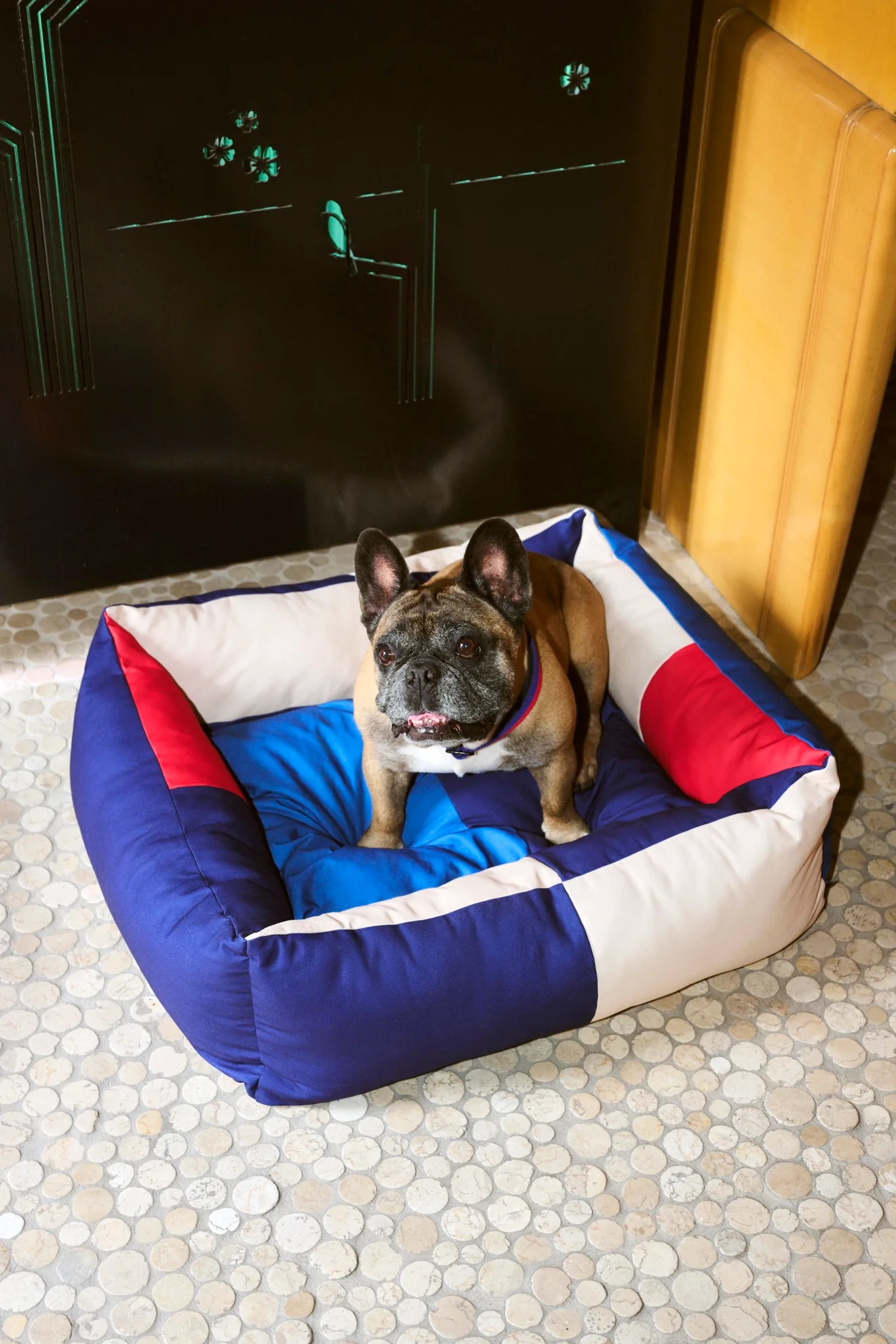 Dog Bed - Medium/Zip - Red & Blue - Image 5
