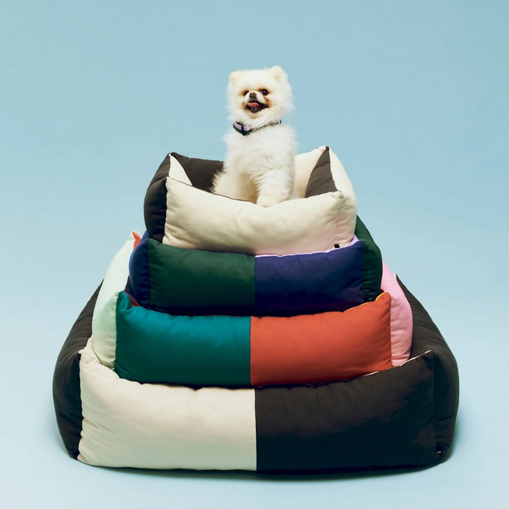 Dog Bed - Small/Zip - Green/Lavender/Blue - Image 2