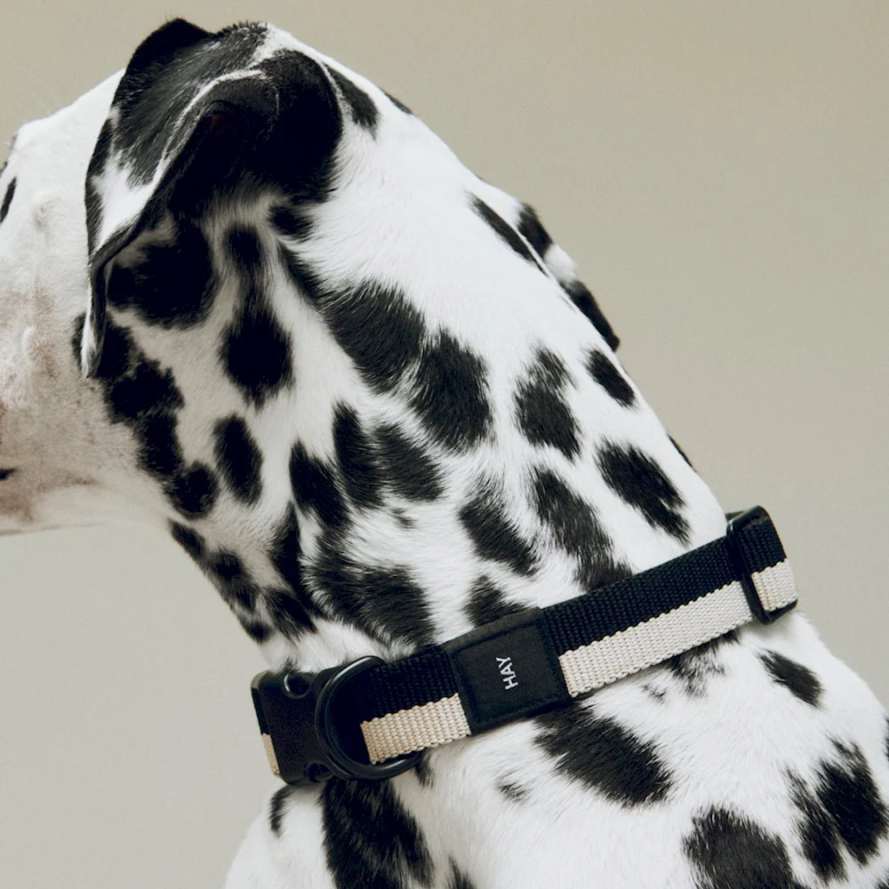 Dog Collar - Flat - Black/White - Image 3