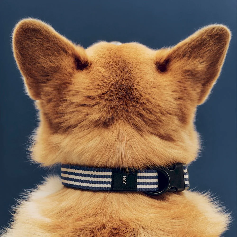 Dog Collar - Flat - Blue/White Stripe - Image 2