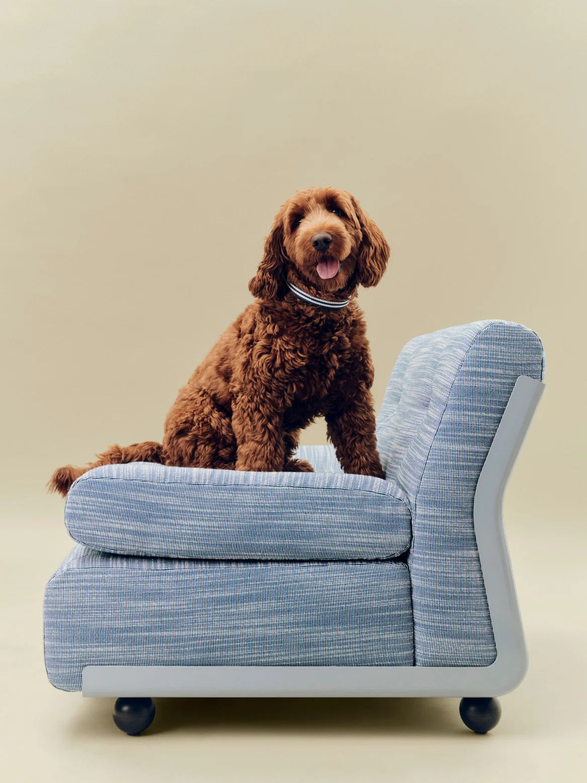 Dog Collar - Flat - Blue/White Stripe - Image 5