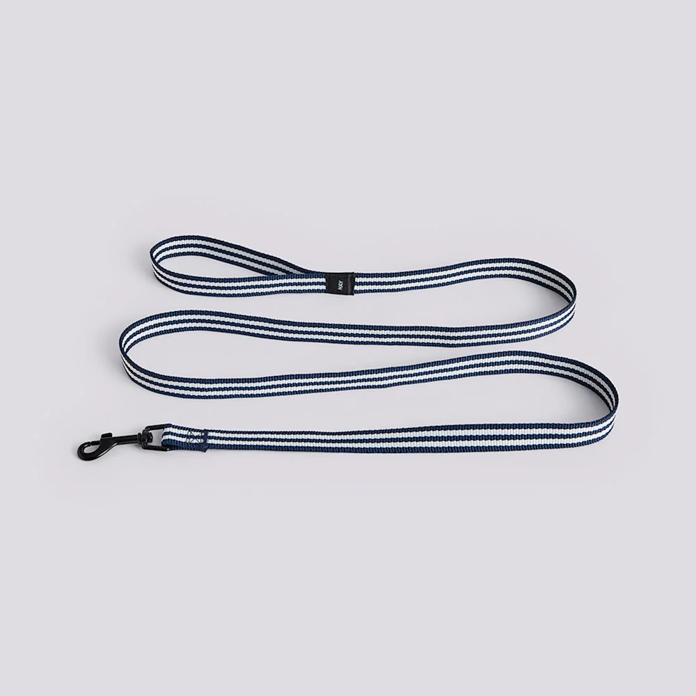 Dog Leash - Flat - Blue/White Stripe