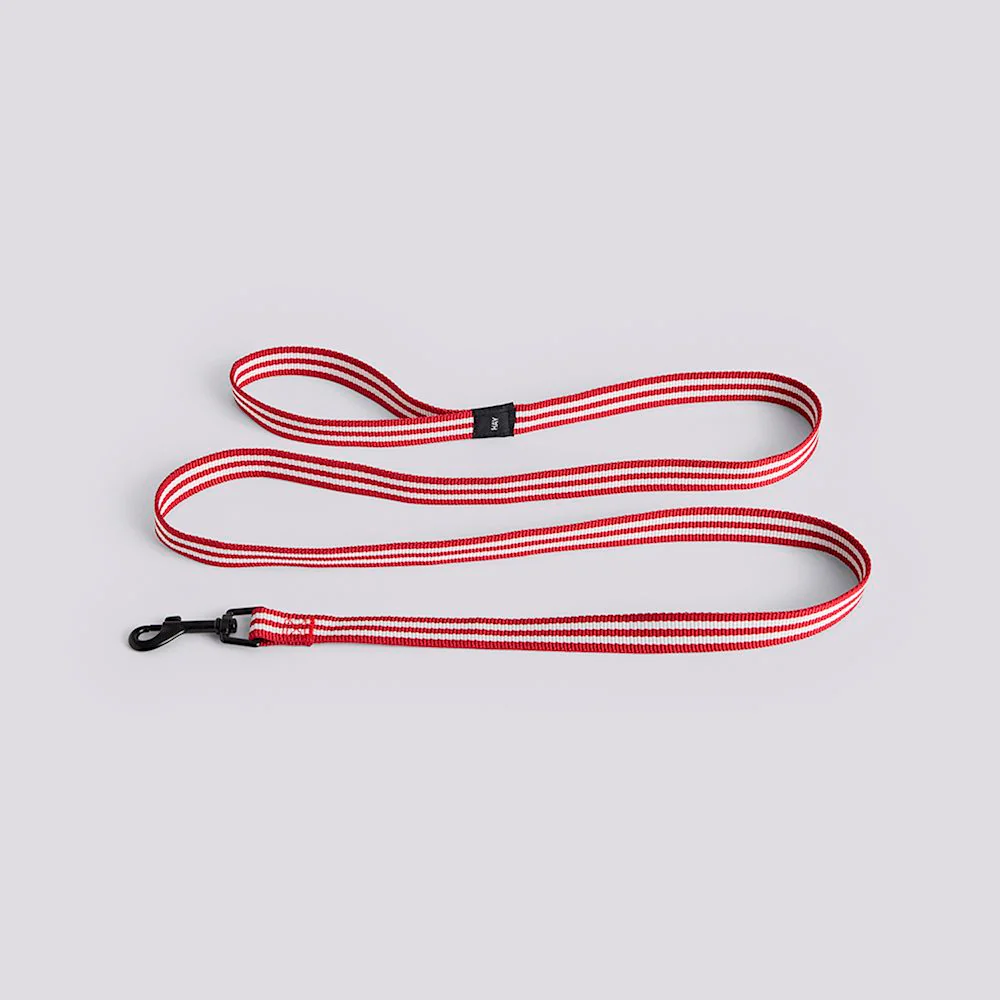 Dog Leash - Flat - Red/White Stripe
