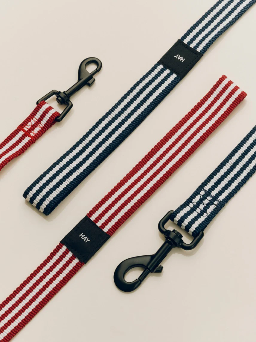 Dog Leash - Flat - Red/White Stripe - Image 4