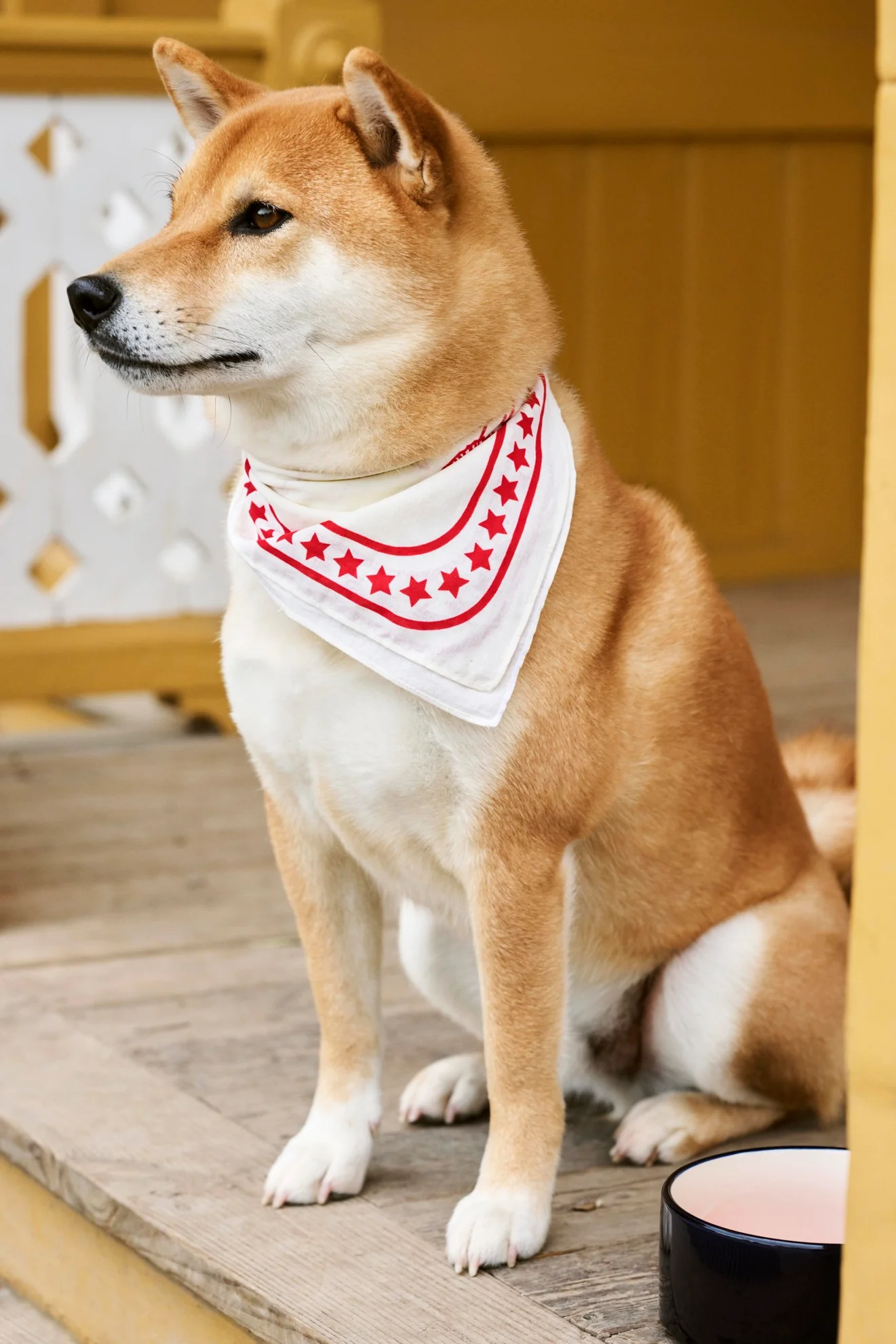 Dog Scarf - Recycled - Off-White - Image 4