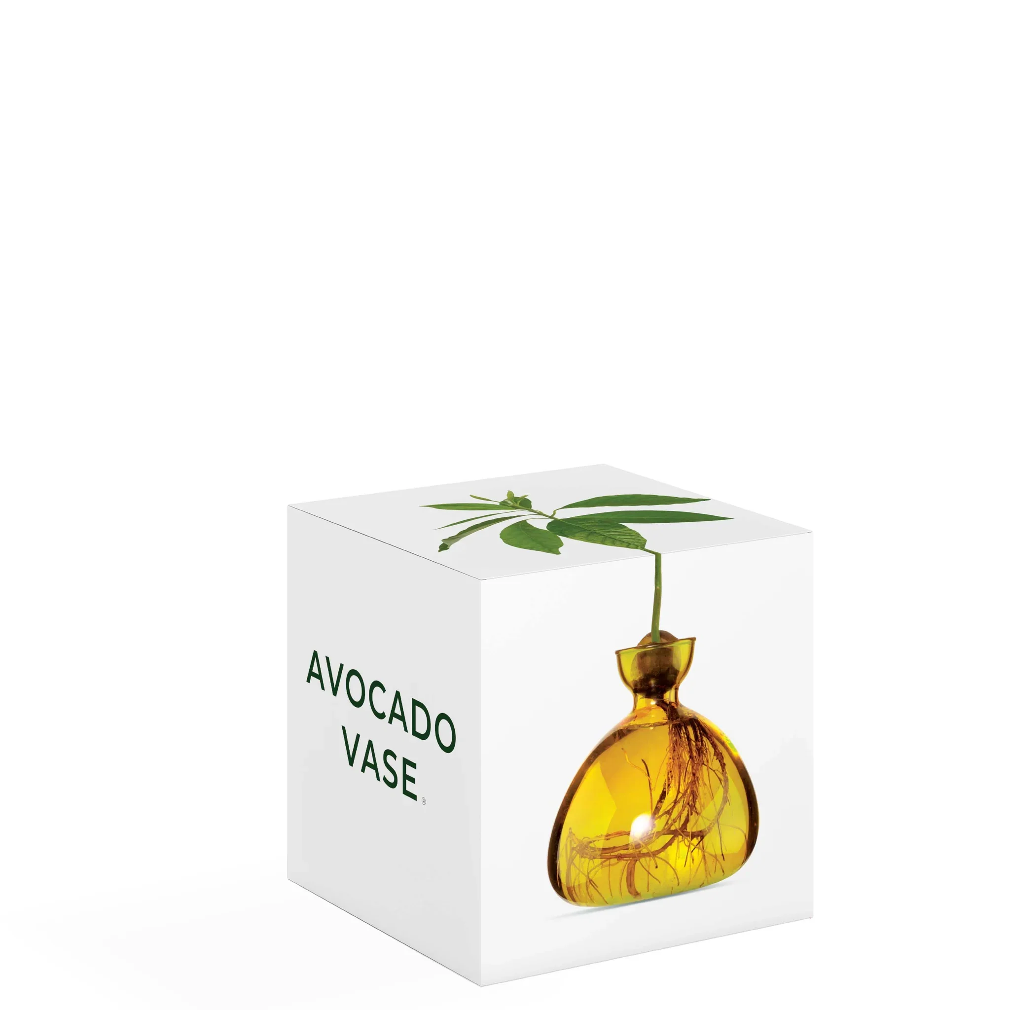 Avocado Vase - Mellow Yellow - Image 2