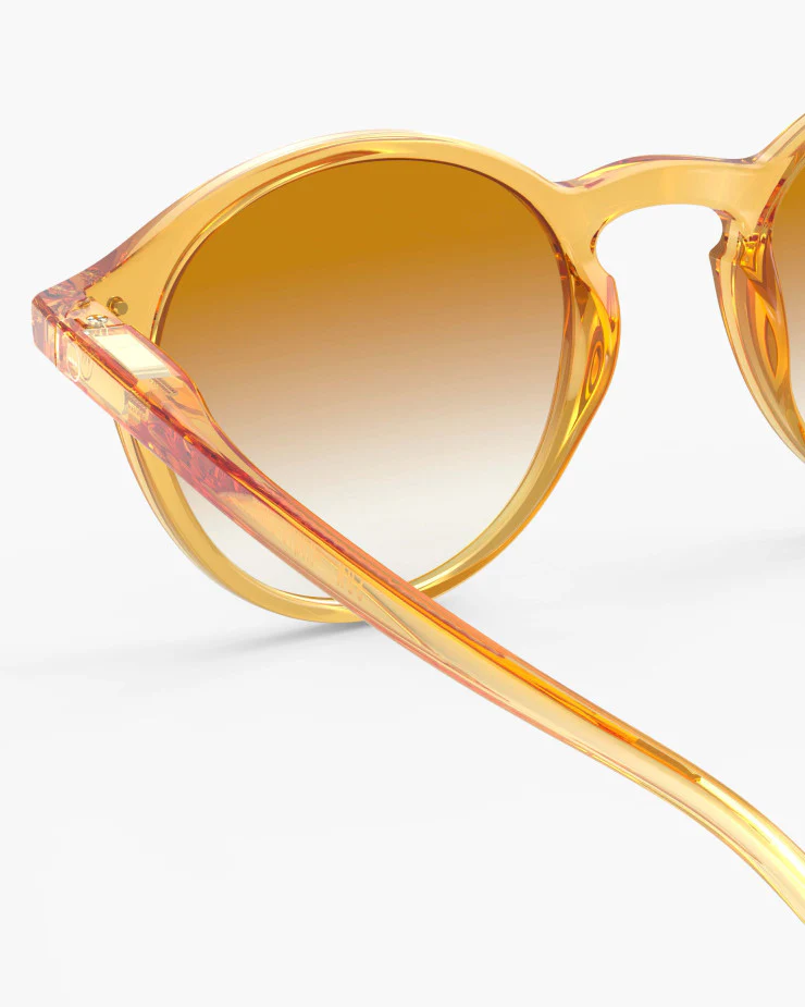 Sunglasses - #D - Golden Canyon - Polarized - Image 5