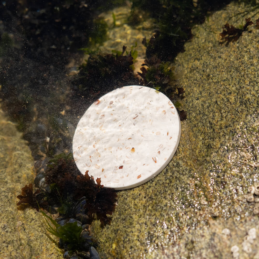 Coaster - Hélios - Scallops - Image 2