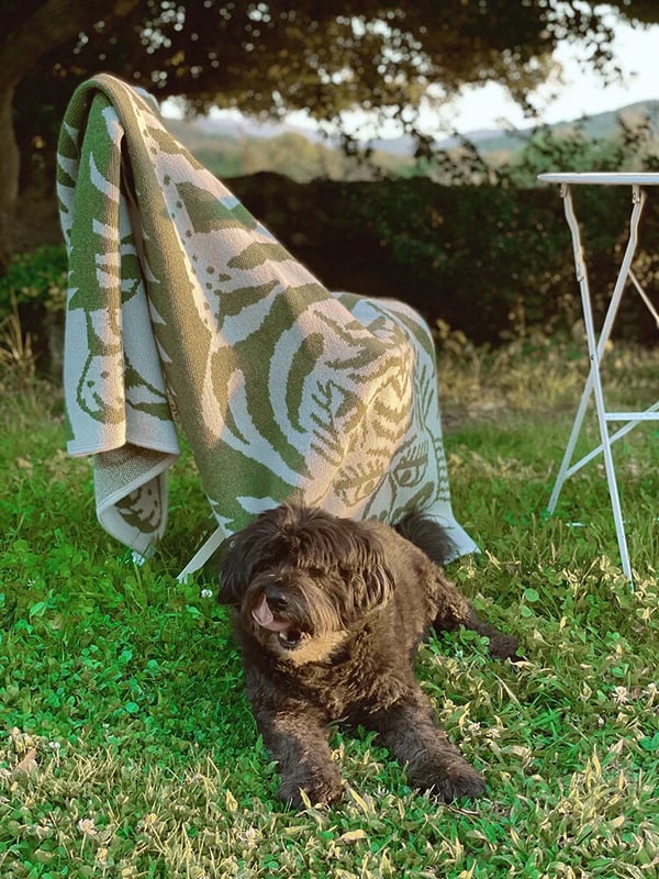 Merino Blanket - Bengal Tiger - Avocado - Image 4