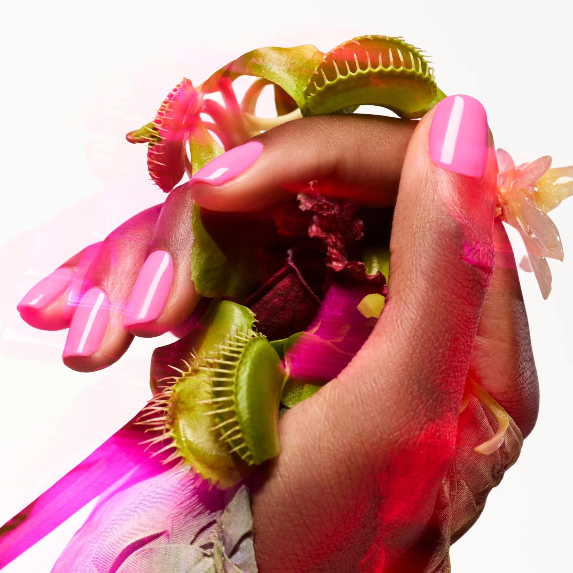 Green Flash Nail Polish - Bloom - Image 3