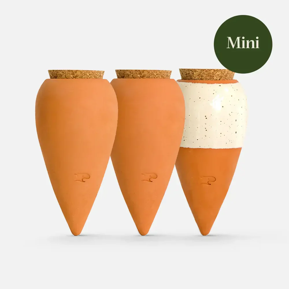 Hydrating Mini Ollas - Set Of 3 - Terracotta & Speckled White
