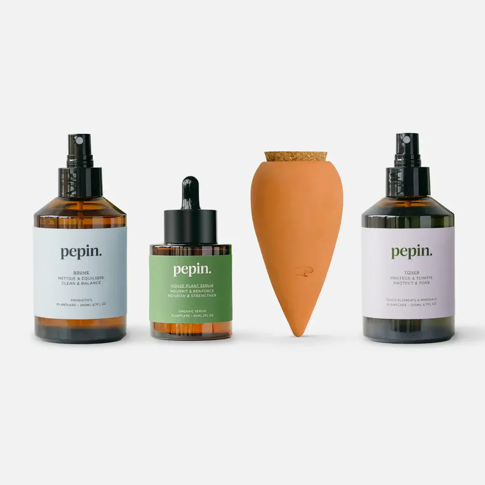 Plant Care Routine