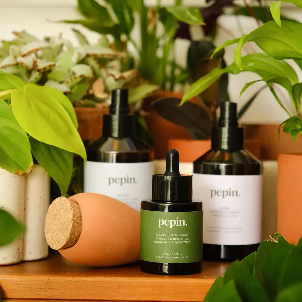 Plant Care Routine - Image 2