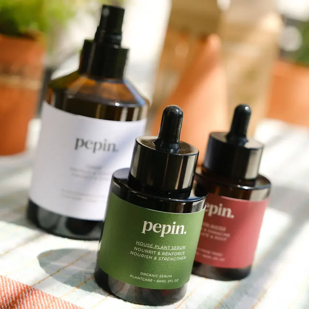 Plant Care Routine - Image 3