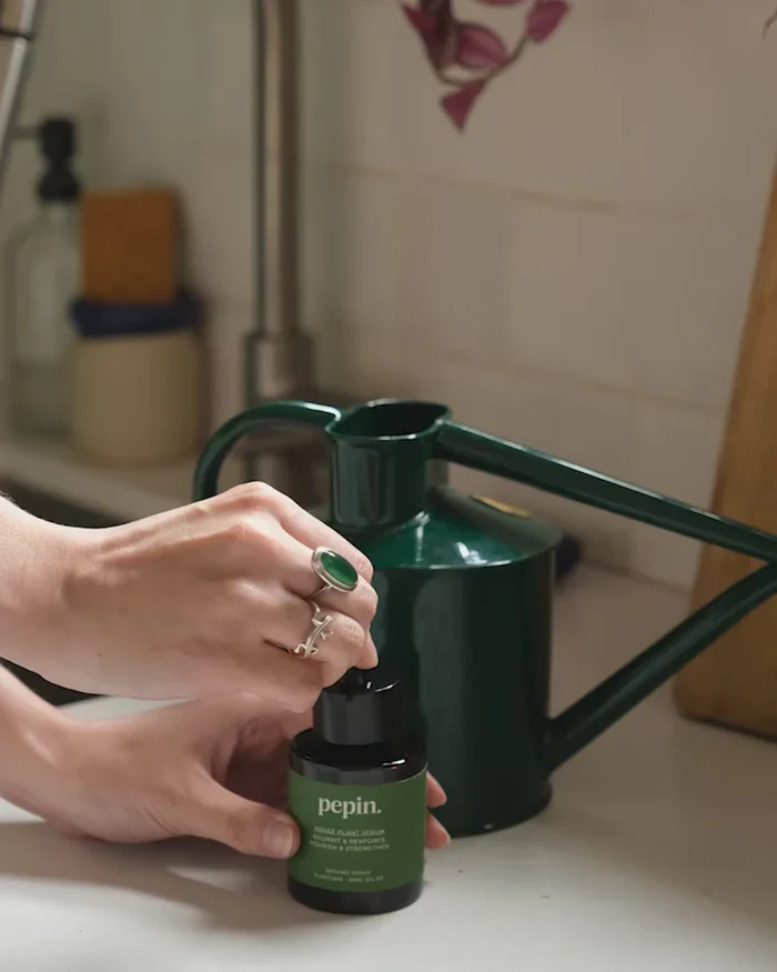 Plant Care Routine - Image 4