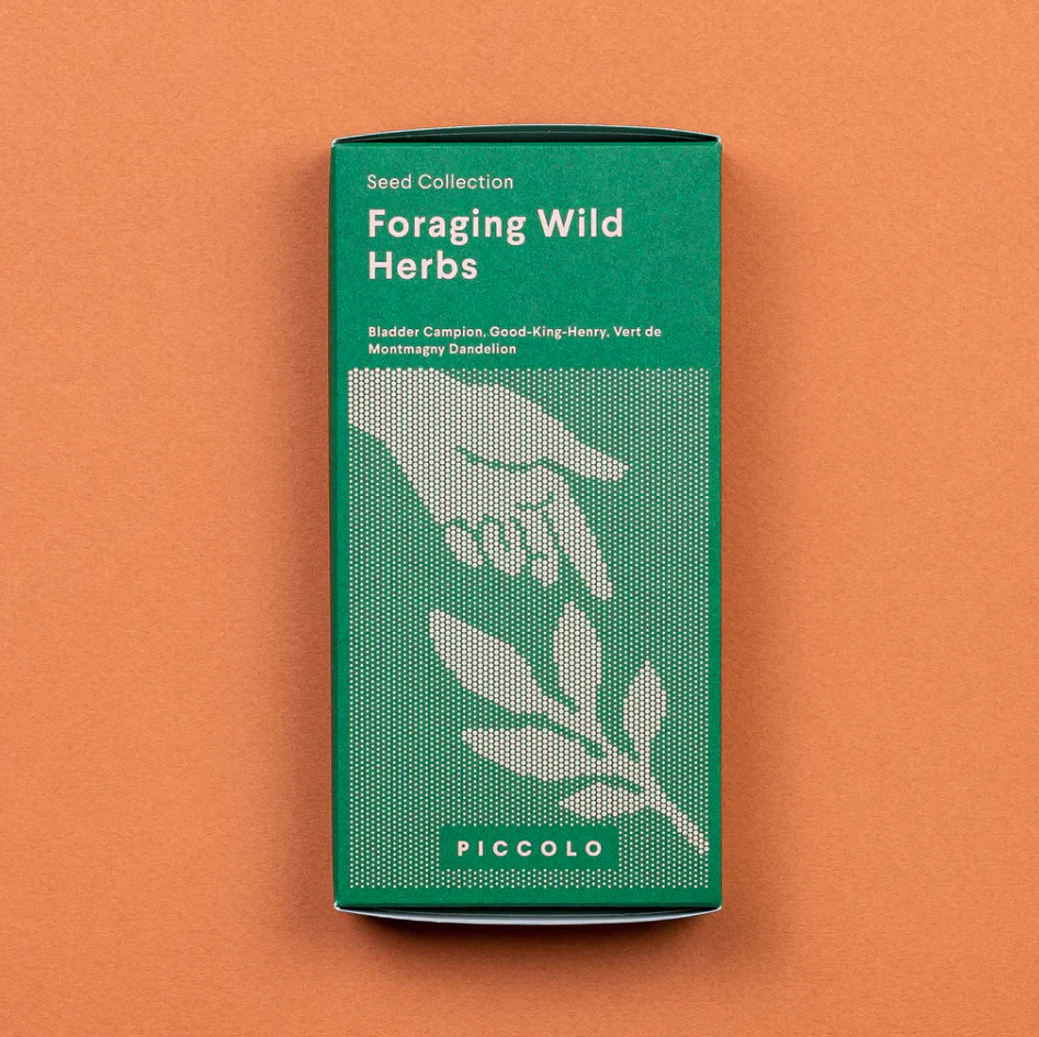 Seed Collection - Forgaging Wild Herbs