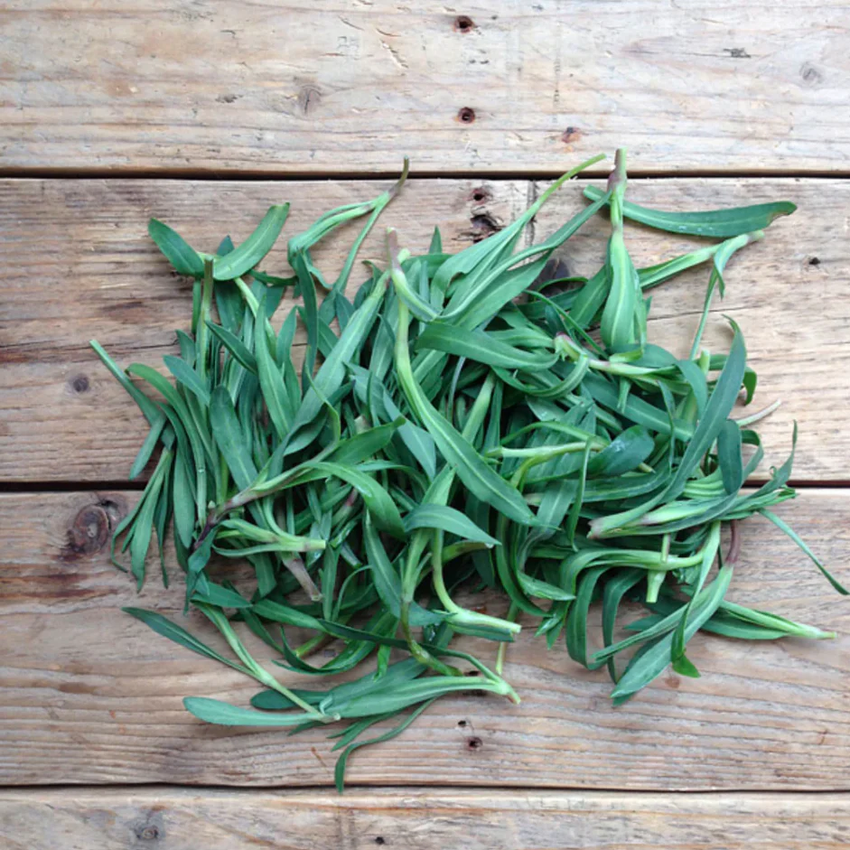 Seed Collection - Forgaging Wild Herbs - Image 2