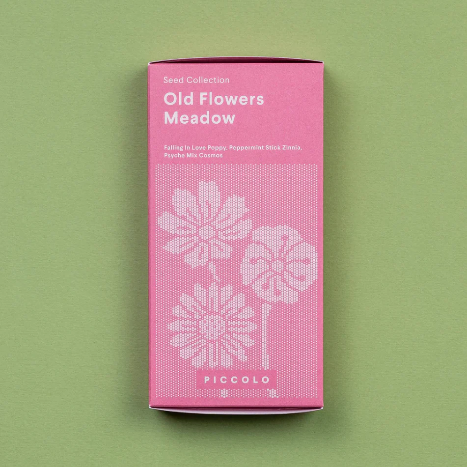 Seed Collection - Old Meadow Flowers