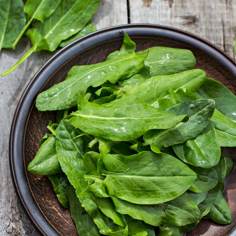 Seed Collection - Specialty Leaves - Image 3