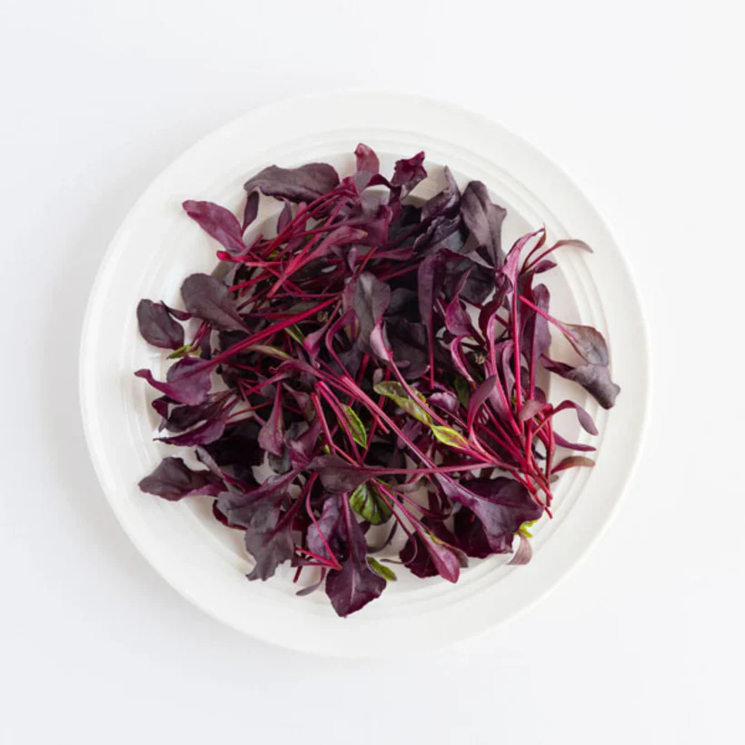 Seed Collection - Specialty Leaves - Image 4