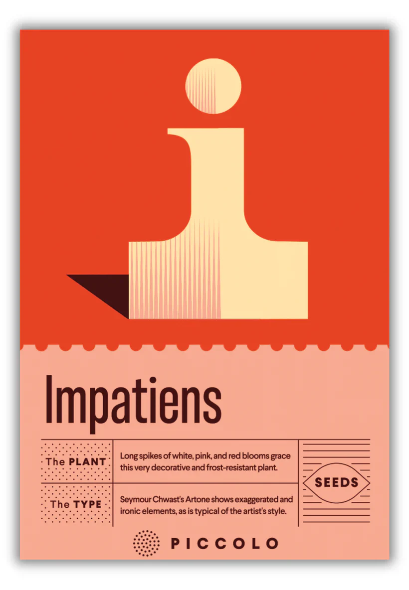 Seed Packets - Botanical Alphabet Collection - Image 17