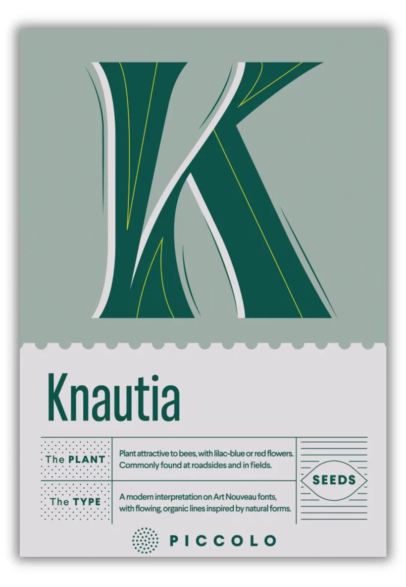 Seed Packets - Botanical Alphabet Collection - Image 21