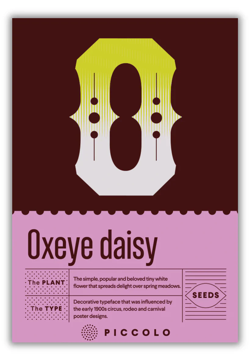Seed Packets - Botanical Alphabet Collection - Image 29