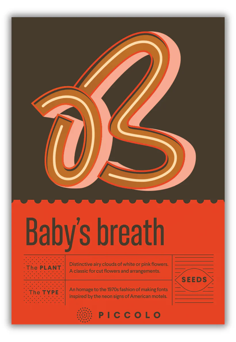 Seed Packets - Botanical Alphabet Collection - Image 3