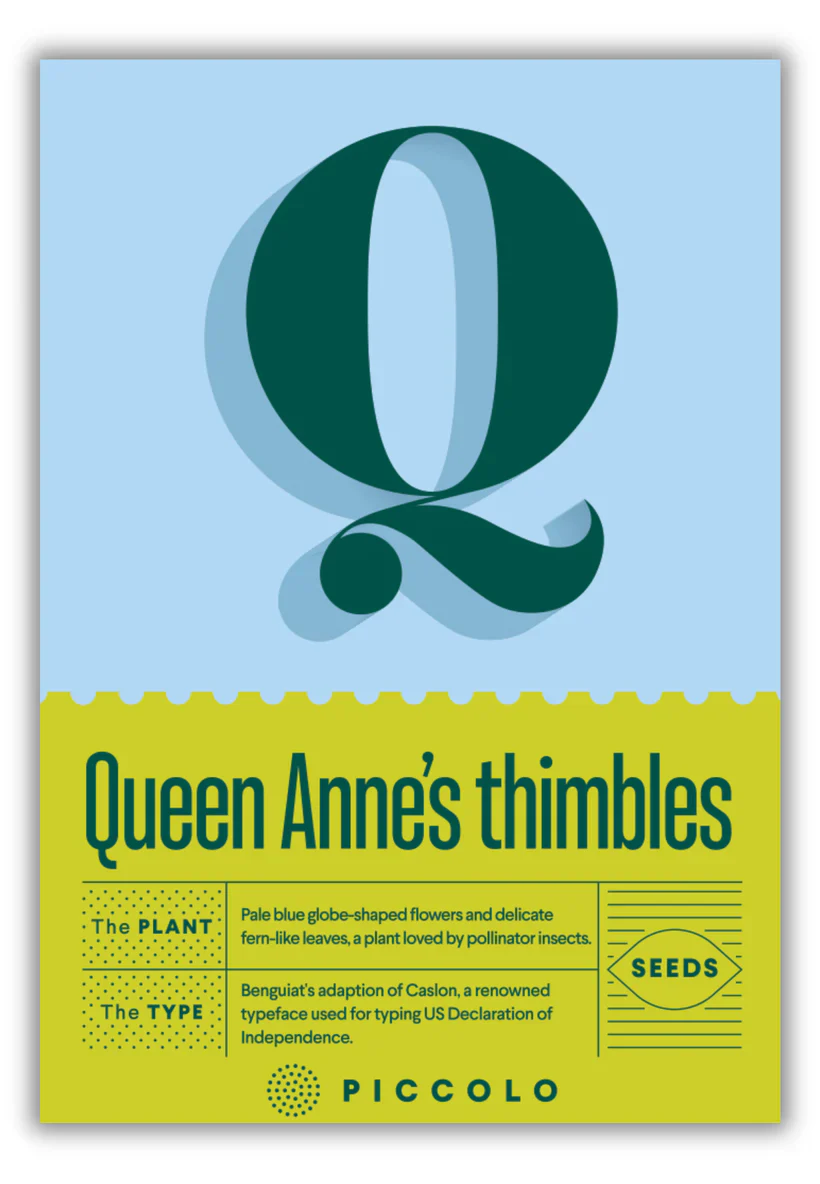Seed Packets - Botanical Alphabet Collection - Image 33