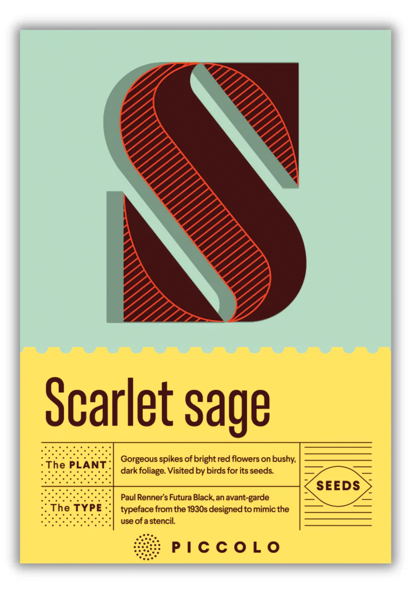 Seed Packets - Botanical Alphabet Collection - Image 37