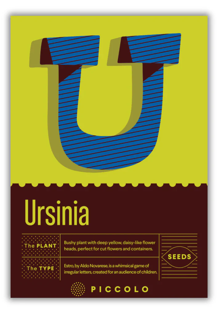 Seed Packets - Botanical Alphabet Collection - Image 39